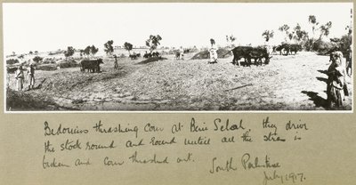 Beduinen beim Dreschen von Korn in Beni Saleh, Juli 1917 von Capt. Arthur Rhodes